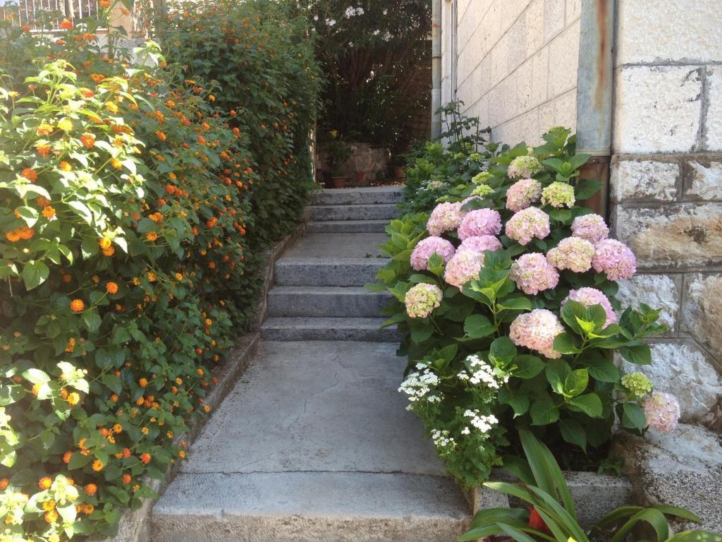 Apartment Flora Дубровник Экстерьер фото